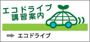 ECO�h���C�u�u�K